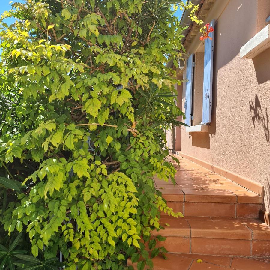 Hameau Des Amandiers - Vue Mer, Golf Et Vignes Apartment Saint-Cyr-sur-Mer Ngoại thất bức ảnh